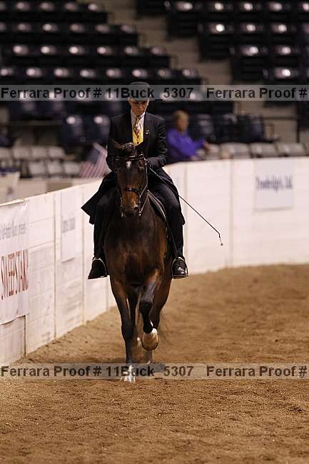 Proof 11buck_5307