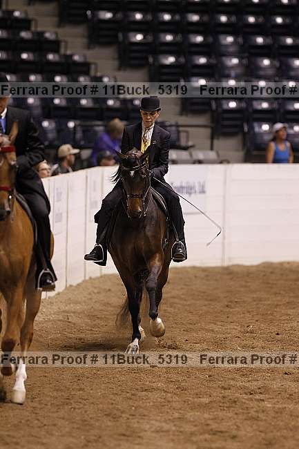 Proof 11buck_5319