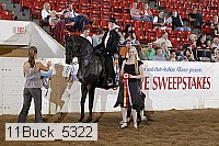 11buck_5322 proof
