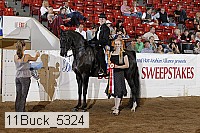 11buck_5324 proof