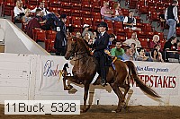 11buck_5328 proof
