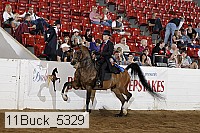 11buck_5329 proof