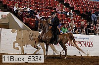 11buck_5334 proof