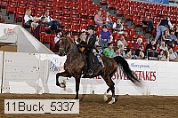 11buck_5337 proof