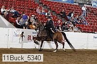 11buck_5340 proof