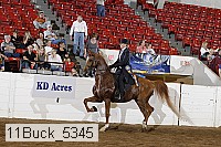 11buck_5345 proof