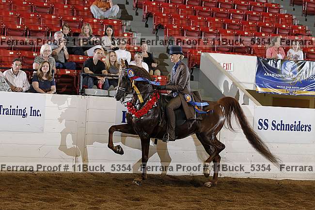 Proof 11buck_5354
