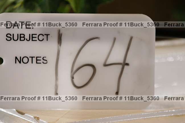 Proof 11buck_5360
