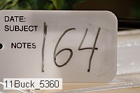 11buck_5360 proof