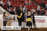 11buck_5362 proof