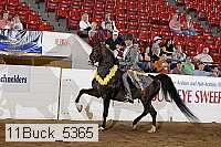 11buck_5365 proof