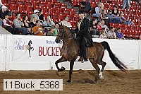 11buck_5368 proof