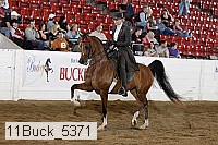 11buck_5371 proof