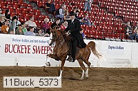 11buck_5373 proof