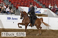 11buck_5376 proof