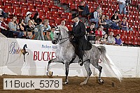 11buck_5378 proof