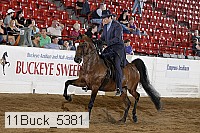11buck_5381 proof
