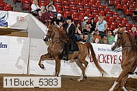 11buck_5383 proof
