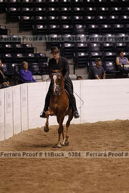 Proof 11buck_5384