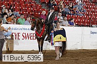 11buck_5395 proof