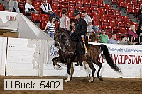 11buck_5402 proof