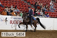 11buck_5404 proof