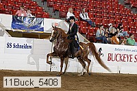 11buck_5408 proof