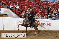 11buck_5410 proof