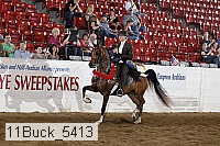11buck_5413 proof