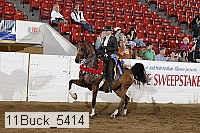 11buck_5414 proof