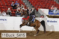 11buck_5415 proof