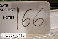 11buck_5418 proof
