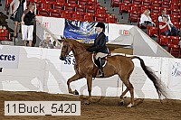 11buck_5420 proof