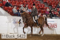 11buck_5423 proof