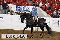11buck_5426 proof