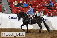 11buck_5435 proof