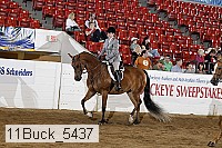 11buck_5437 proof