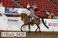 11buck_5439 proof