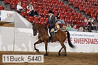 11buck_5440 proof