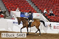 11buck_5443 proof