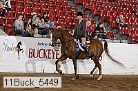 11buck_5449 proof