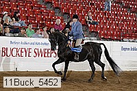 11buck_5452 proof