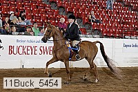 11buck_5454 proof