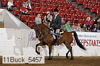 11buck_5457 proof