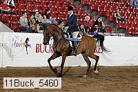 11buck_5460 proof
