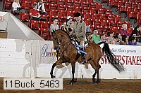 11buck_5463 proof