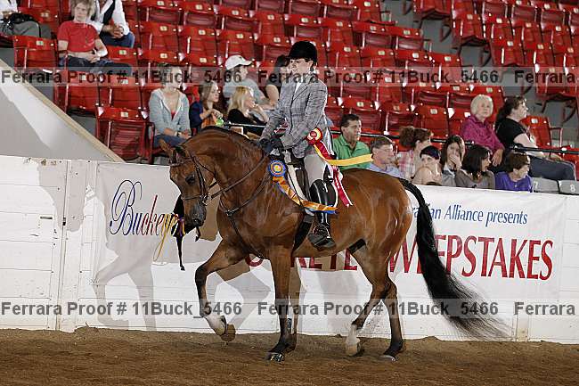 Proof 11buck_5466