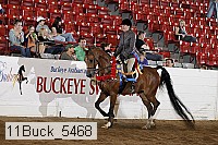 11buck_5468 proof