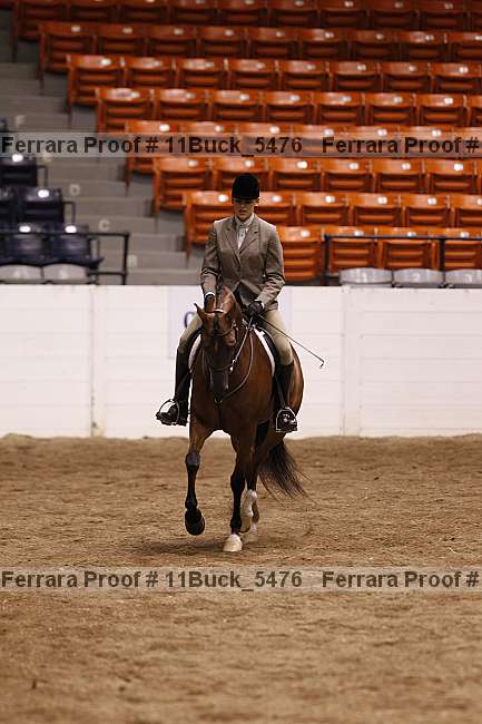 Proof 11buck_5476