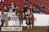 11buck_5493 proof